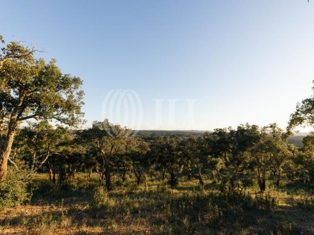 Terreno venda em Vale de Água, Santiago Do Cacém