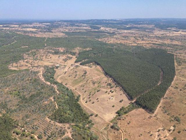 Terreno venda em Vale de Água, Santiago Do Cacém
