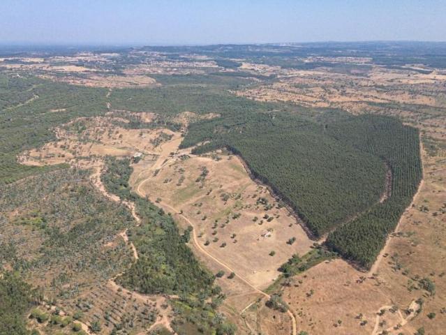 Terreno venda em Vale de Água, Santiago Do Cacém