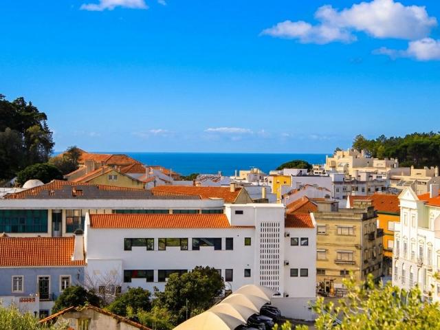 Terreno venda em Castelo Branco, Vila De Rei