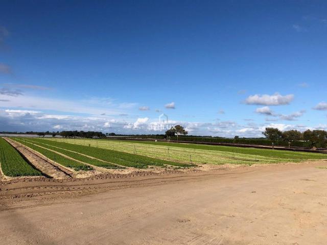Terreno venda em Santiago Do Cacém