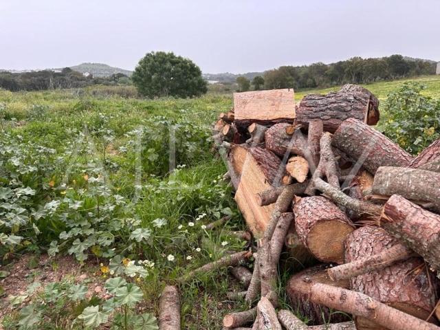 Terreno venda em Santiago Do Cacém