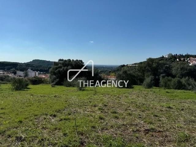 Terreno venda em Santiago Do Cacém