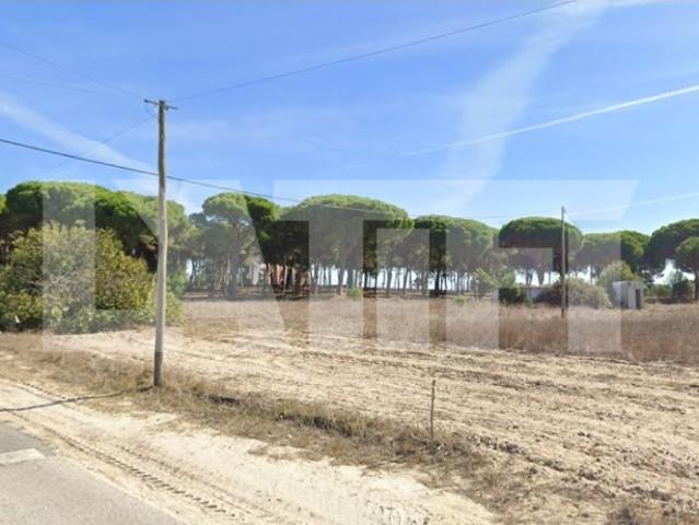 Terreno venda em Colonato de Santo Isidro de Pegões, Montijo
