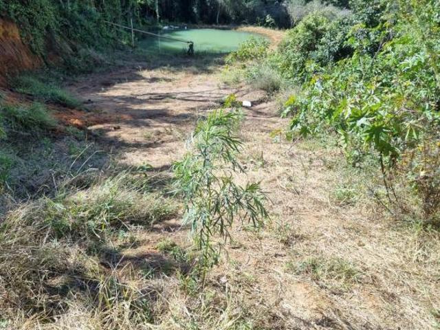 Terreno venda em Região Geográfica Imediata de Pouso Alegre, Senador Amaral