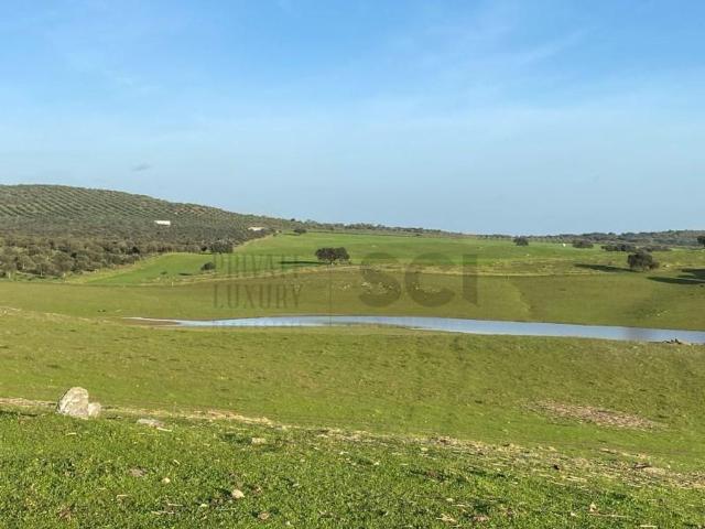 Terreno venda em Mourã, Beja