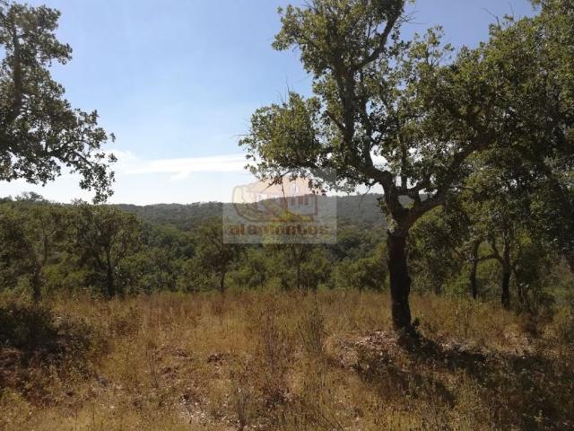 Terreno venda em Grândola, Setúbal