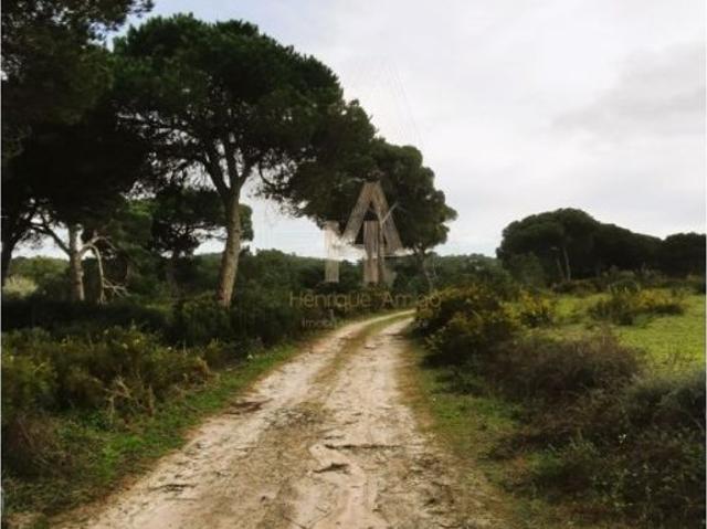 Terreno venda em Castelo, Sesimbra