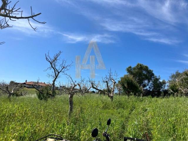 Terreno venda em Castelo, Sesimbra