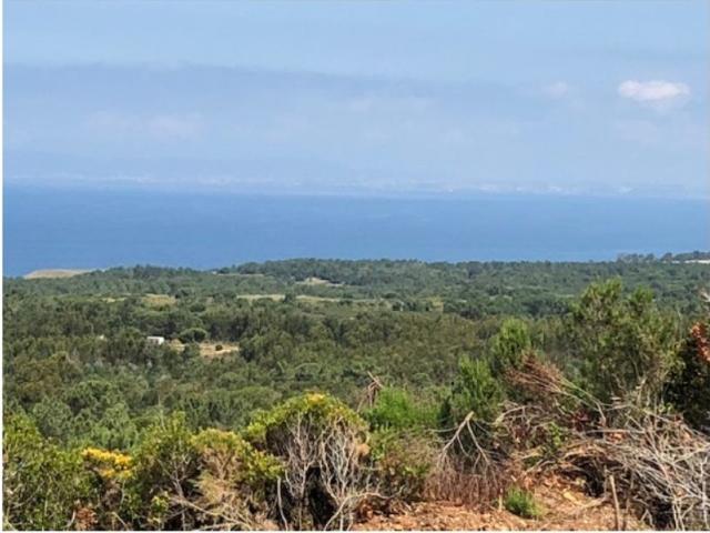 Terreno venda em Sesimbra (Castelo), Sesimbra