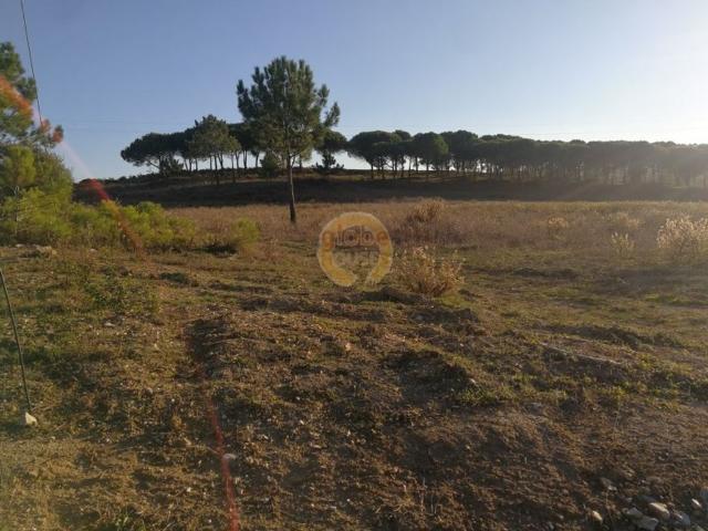 Terreno venda em Castelo, Sesimbra