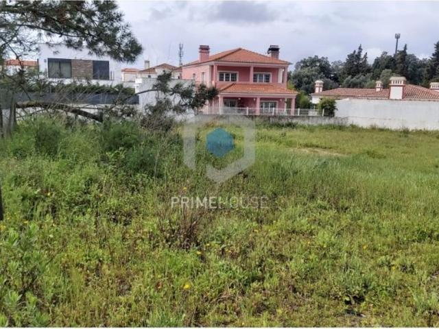 Terreno venda em Azeitão (São Lourenço e São Simão), Setúbal