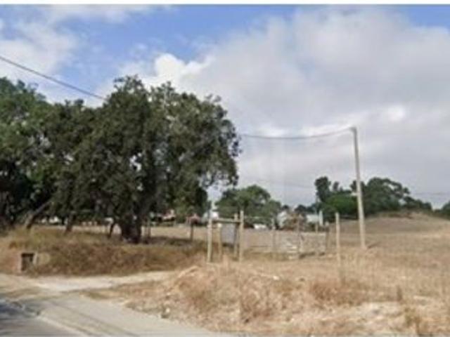 Terreno venda em Vale de Cobro, Setúbal