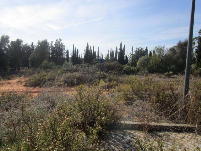 Terreno venda em Silves, Faro