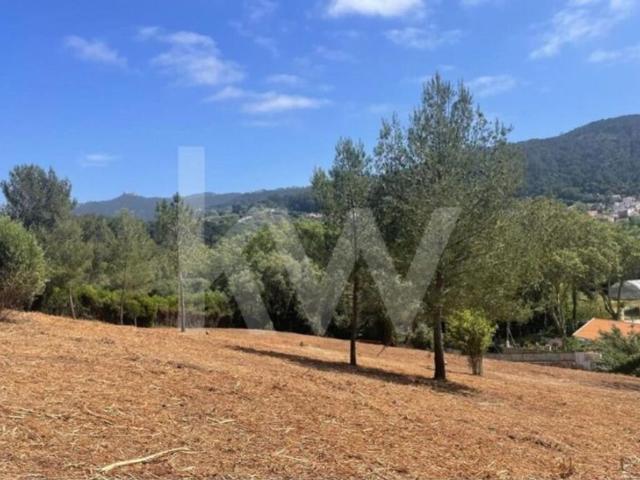 Terreno venda em São Sebastião, Colares
