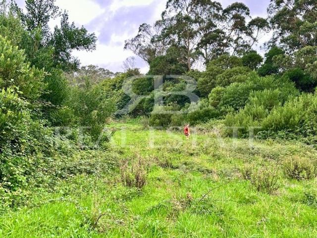 Terreno venda em Enxidra, Sintra
