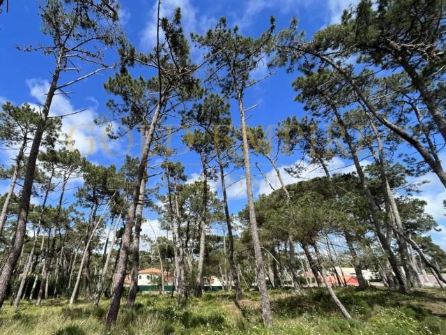 Terreno venda em São Sebastião, Colares