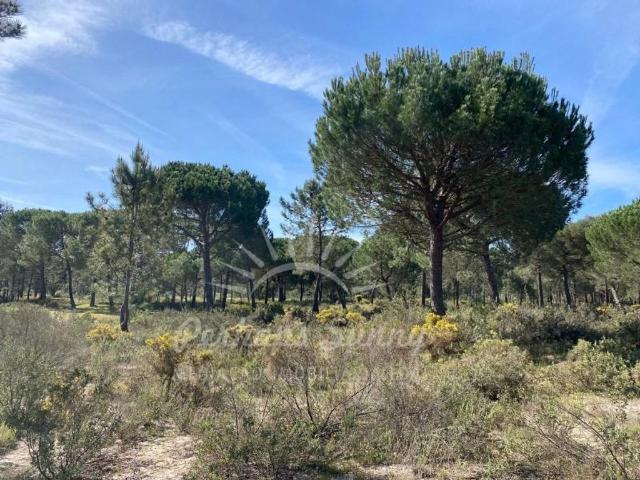 Terreno venda em Grândola, Setúbal