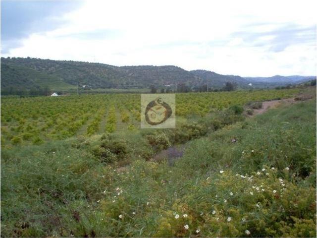 Terreno venda em Tavira, Faro