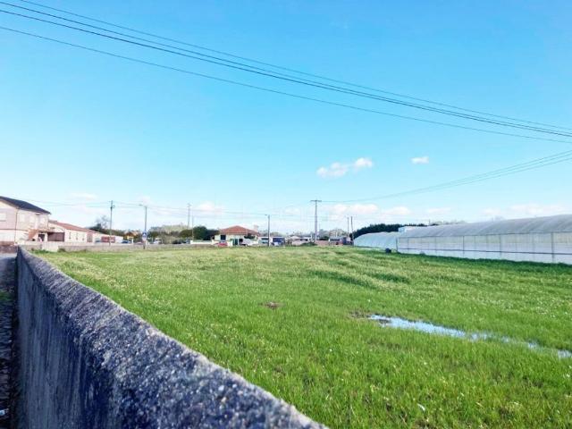Terreno venda em Terroso, A Ver-o-mar