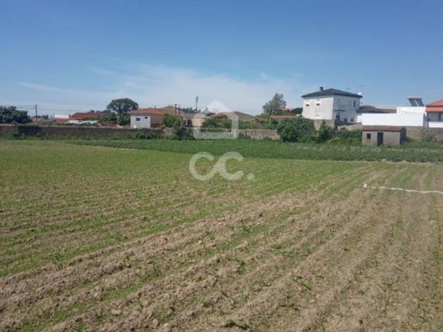 Terreno venda em Vila Do Conde, Porto