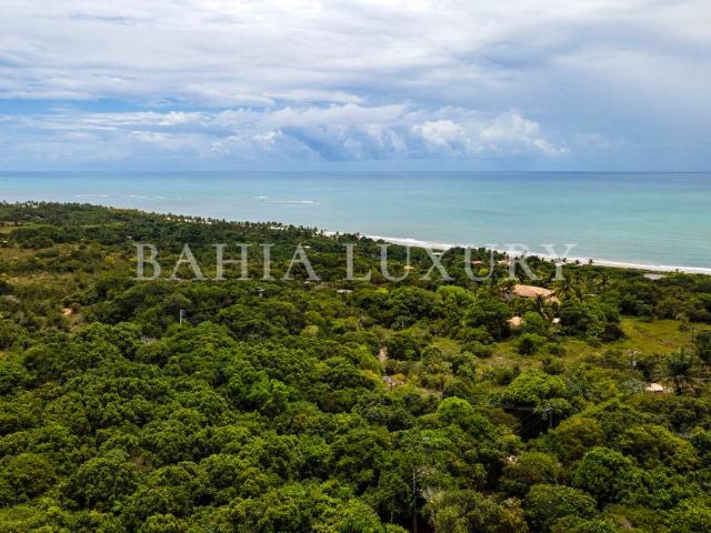 Terreno venda em Trancoso