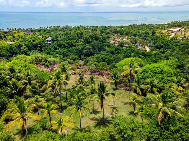 Terreno venda em Região Geográfica Imediata de Eunápolis - Porto Seguro, Porto Seguro