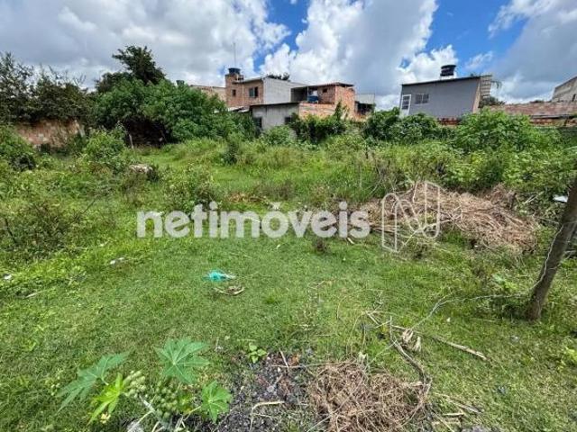 Terreno venda em Região Geográfica Imediata de Belo Horizonte, Região Metropolitana de Belo Horizonte