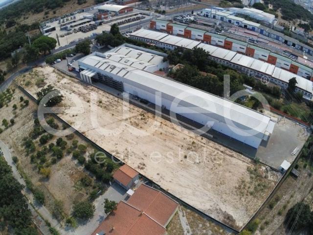 Terreno venda em Vale de Cobro, Setúbal