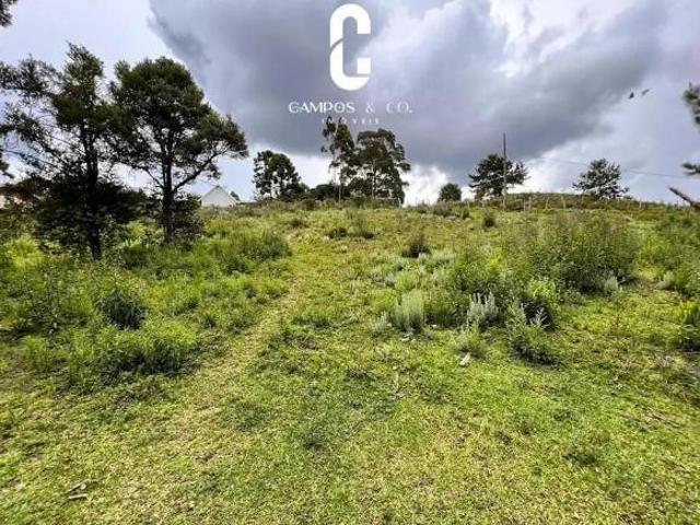 Terreno venda em Região Imediata de Taubaté-Pindamonhangaba, Região Metropolitana do Vale do Paraíba e Litoral Norte