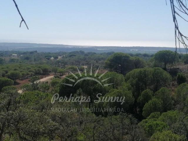 Terreno venda em Grândola, Setúbal