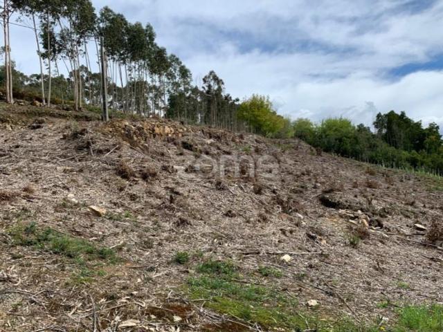 Terreno venda em Valongo, Porto