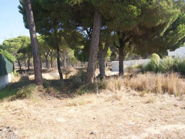 Terreno venda em Loulé, Faro