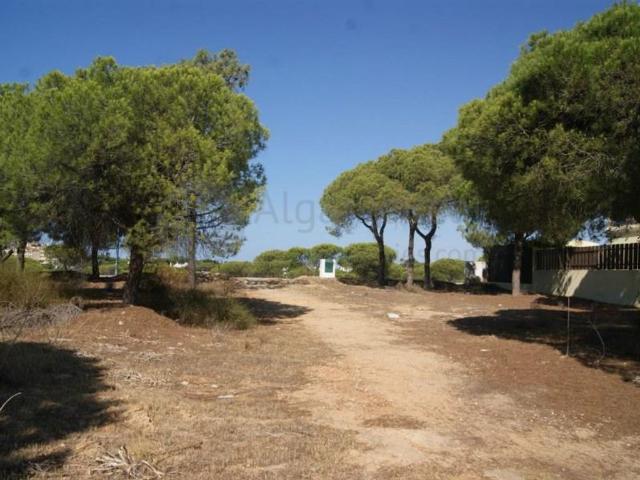 Terreno venda em Loulé, Faro