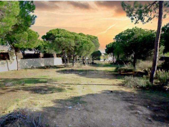 Terreno venda em Loulé, Faro