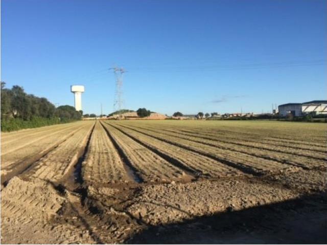 Terreno venda em Baixa do Montijo, Montijo