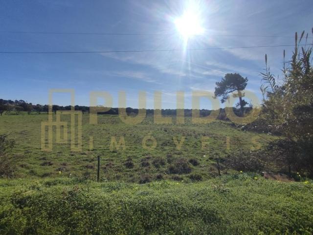 Terreno venda em Vendas Novas, Évora