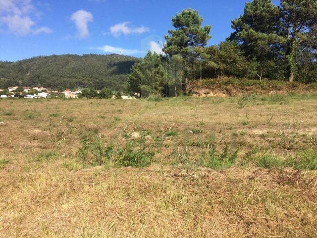 Terreno venda em Viana Do Castelo