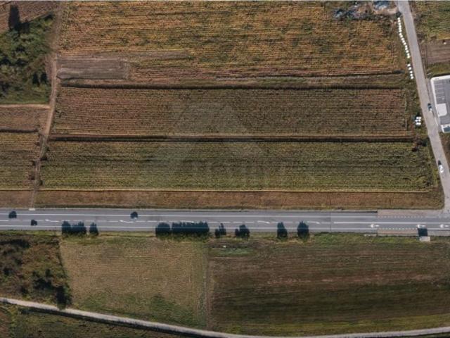 Terreno venda em Viana Do Castelo