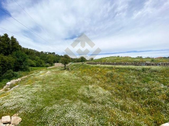 Terreno venda em Viana Do Castelo