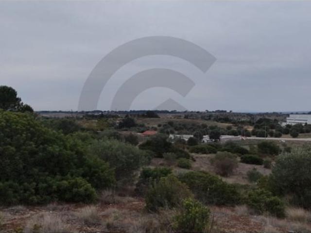 Terreno venda em Torres Novas, Santarém