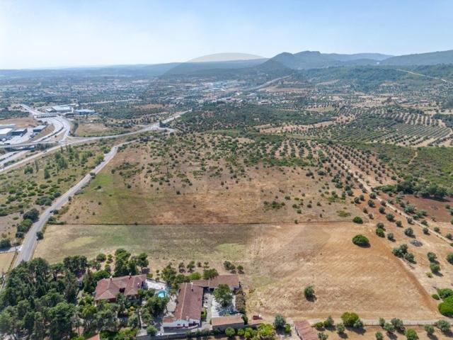 Terreno venda em Torres Novas, Santarém