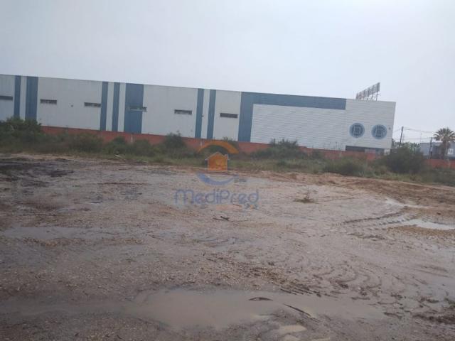 Terreno venda em Palmela, Setúbal