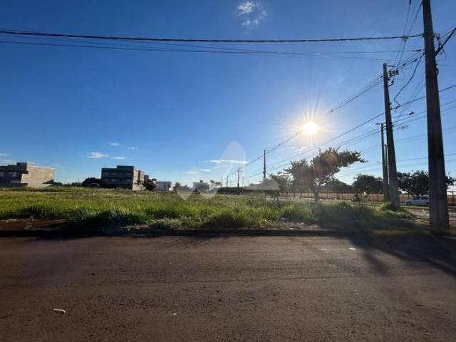 Terreno venda em Região Geográfica Imediata de Toledo, Toledo