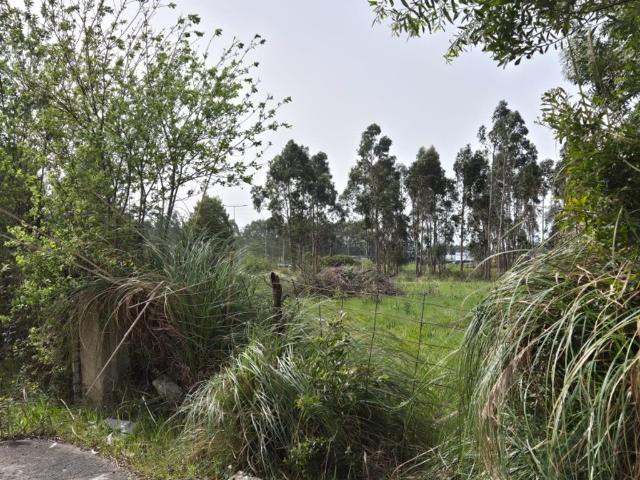 Terreno venda em Vila Do Conde, Porto