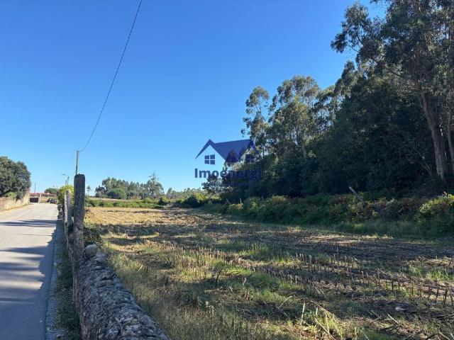 Terreno venda em Junqueira, Vila Do Conde