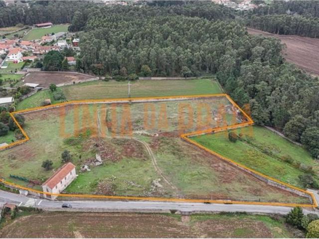 Terreno venda em Junqueira, Vila Do Conde