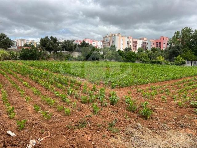 Terreno venda em Vialonga, Lisboa