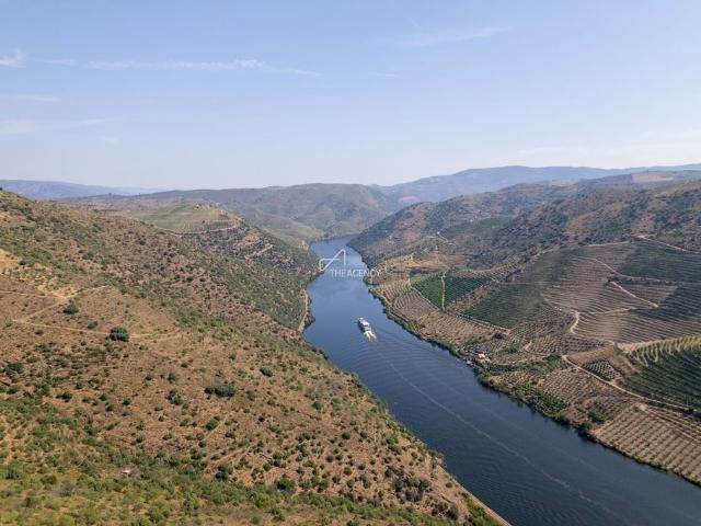 Terreno venda em Guarda, Mós