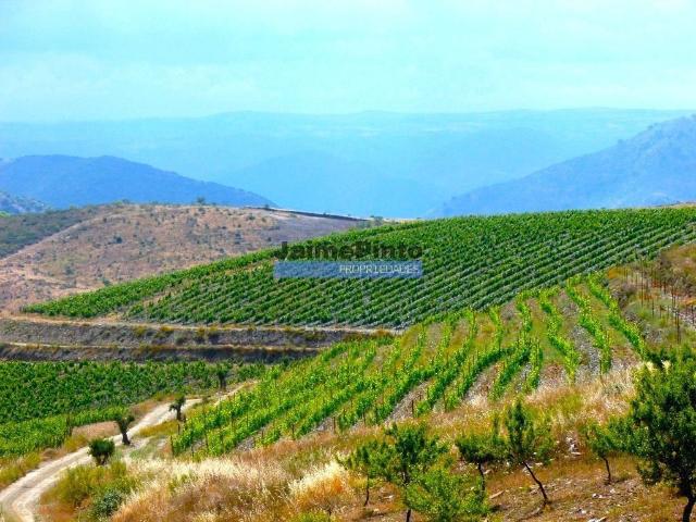 Terreno venda em Guarda, Mós